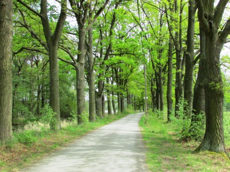cyklistickou-naucnou-stezkou-okolo-trebone